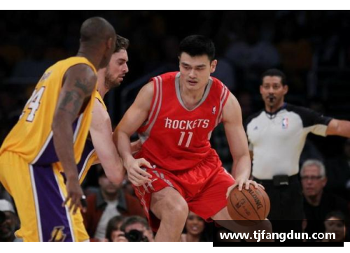 OB视讯姚明NBA生涯：巅峰时刻与场均得分的传奇统计